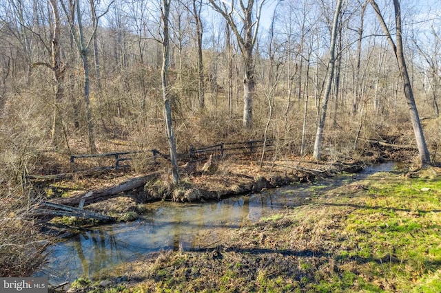 view of water feature