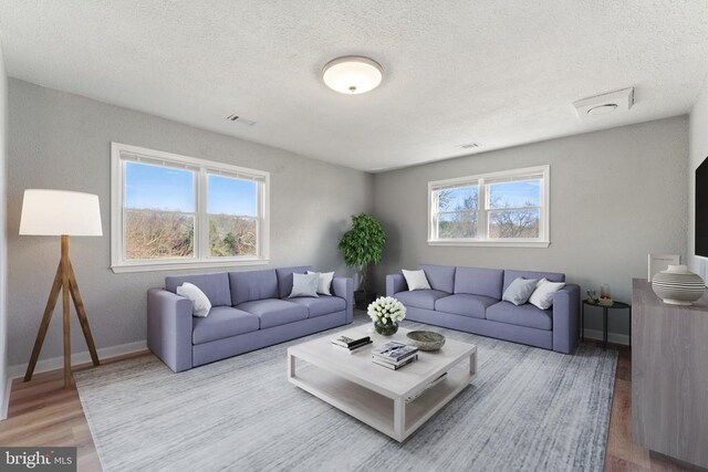 living room with hardwood / wood-style floors and a textured ceiling