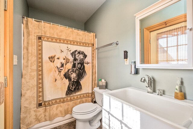 full bathroom featuring sink, shower / bath combination with curtain, and toilet