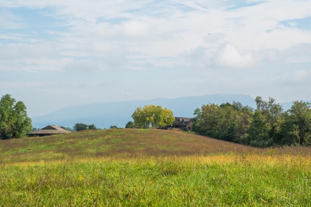 view of landscape with a rural view and a mountain view