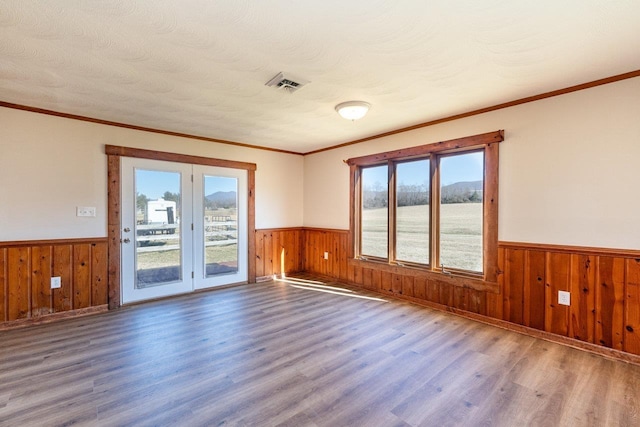 spare room with a wainscoted wall and plenty of natural light