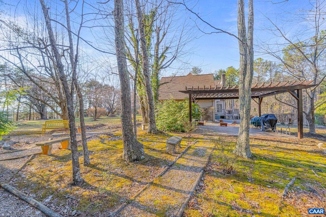 view of yard with a patio and a pergola