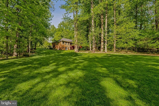 view of yard featuring a forest view