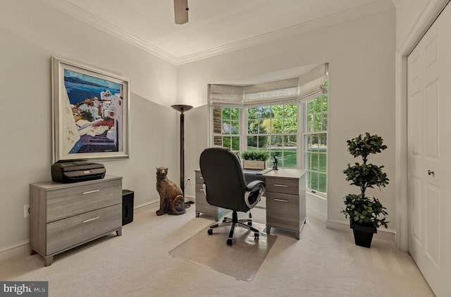office with crown molding, baseboards, and light carpet