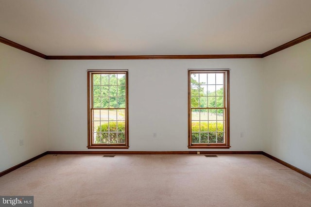 carpeted spare room featuring crown molding