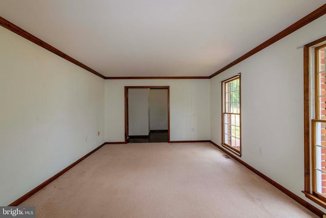 spare room with crown molding and carpet floors