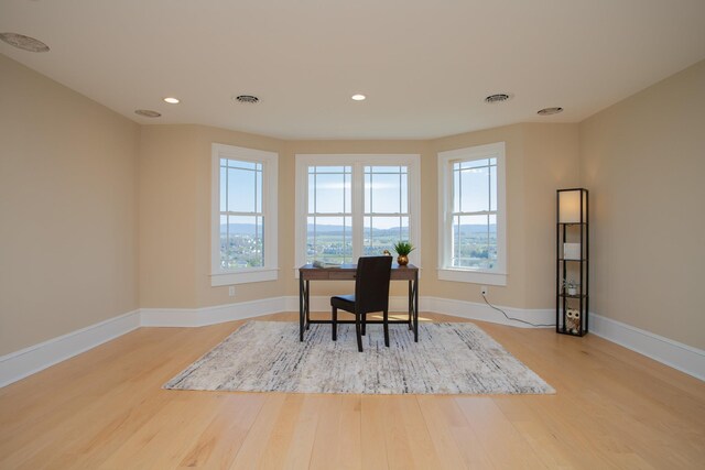 home office featuring a wealth of natural light and light wood-type flooring