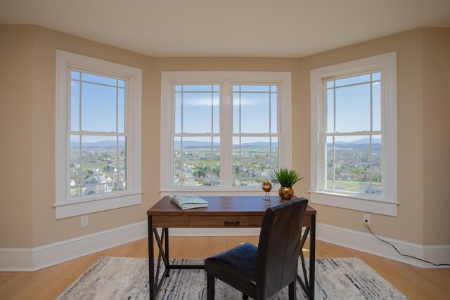 office featuring a mountain view, light hardwood / wood-style floors, and a healthy amount of sunlight