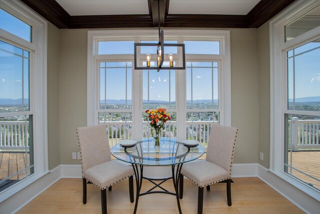 dining area featuring an inviting chandelier, plenty of natural light, and light wood-type flooring