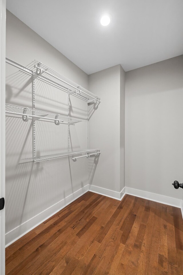 spacious closet with hardwood / wood-style floors