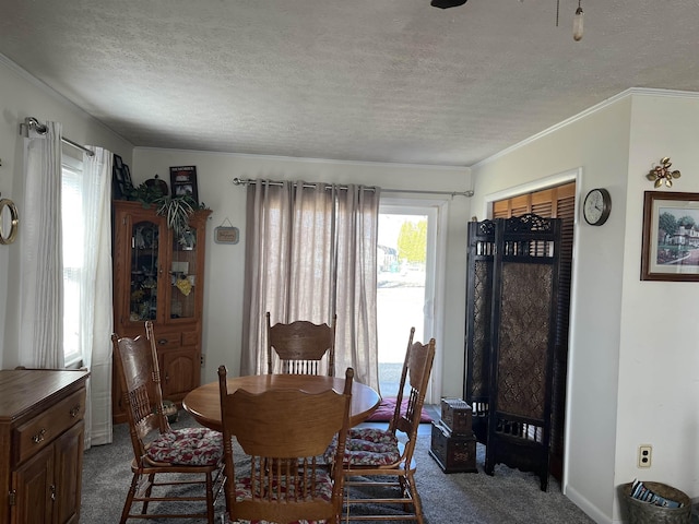 carpeted dining area featuring crown molding and a textured ceiling