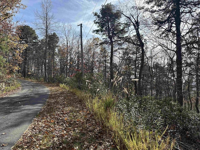 Old Stony Ridge Rd, Afton VA, 22920 land for sale