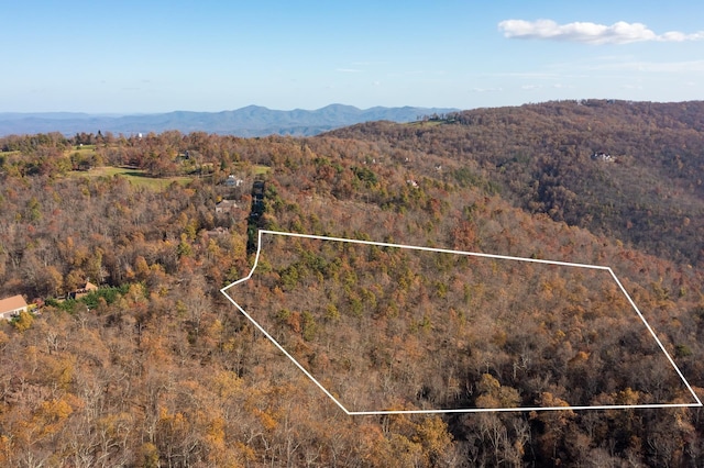 Old Stony Ridge Rd, Afton VA, 22920 land for sale