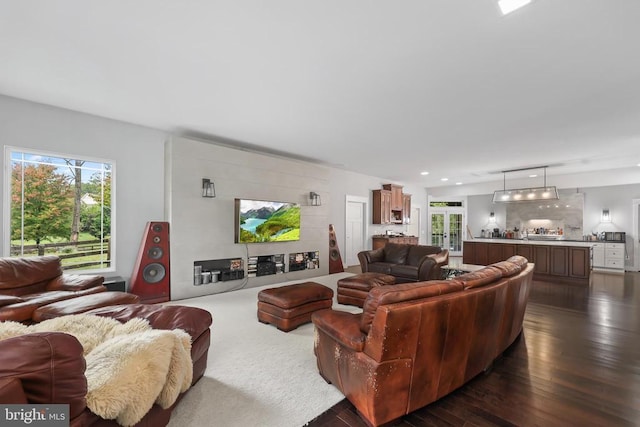 living room featuring dark wood-style flooring