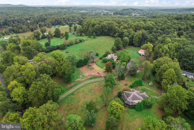 aerial view with a view of trees