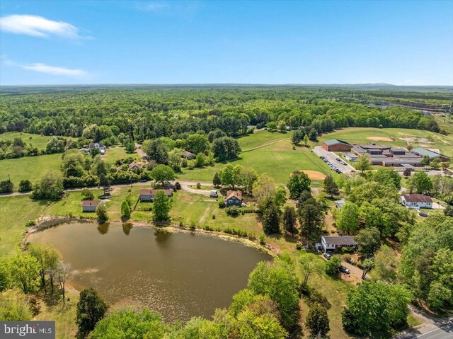 bird's eye view featuring a water view and a forest view