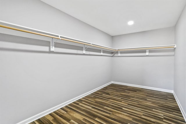 walk in closet with dark hardwood / wood-style floors