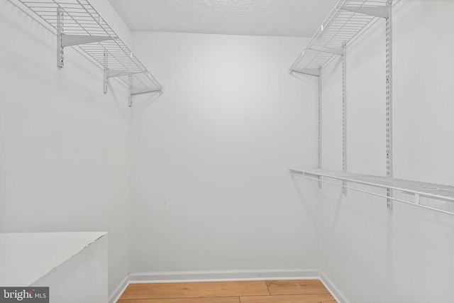 walk in closet with light wood-type flooring