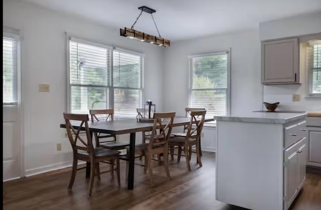 dining space with a healthy amount of sunlight and dark wood finished floors