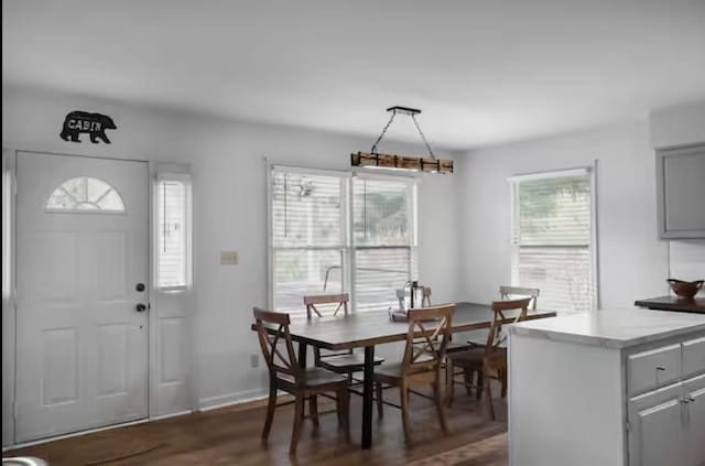 dining room with baseboards and dark wood-style flooring