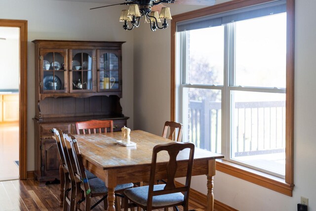 dining room featuring dark wood-type flooring and a wealth of natural light