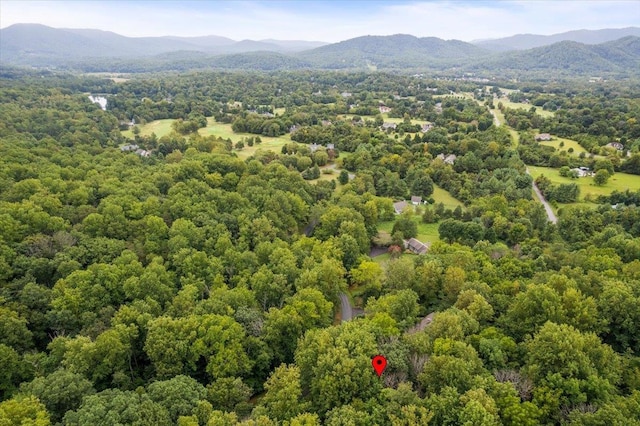 233 Stone Chimneys Rd, Nellysford VA, 22958 land for sale