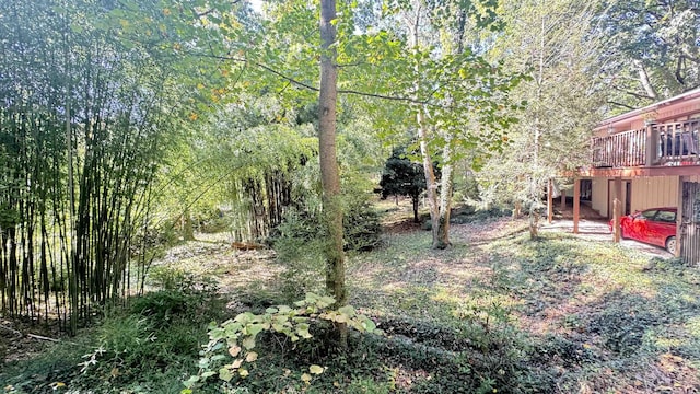 view of yard featuring a deck