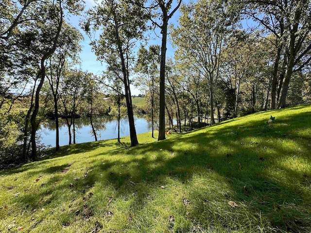 property view of water