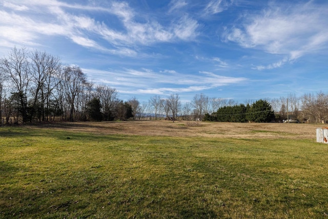view of yard with a rural view