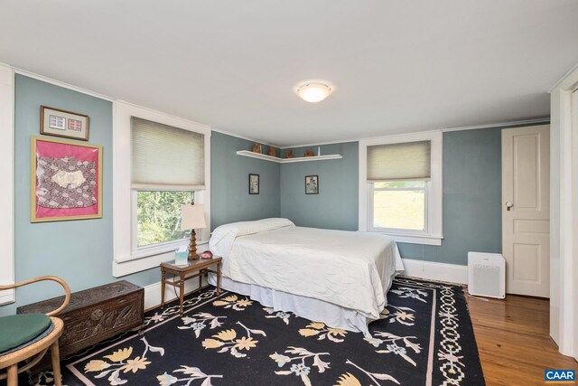 bedroom with multiple windows and wood-type flooring