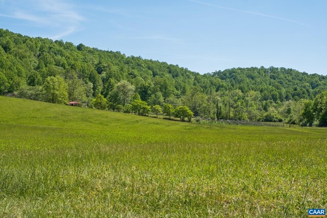 view of local wilderness featuring a rural view