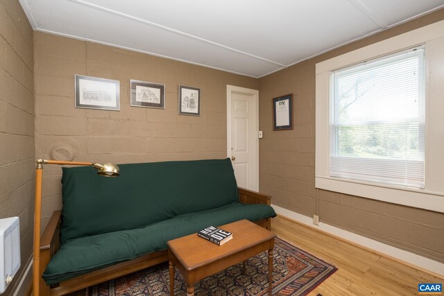 living room with hardwood / wood-style flooring