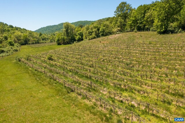 view of nature featuring a rural view