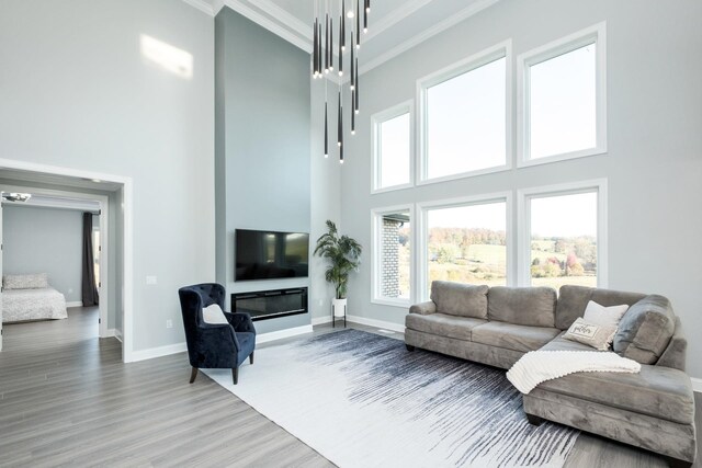 living room featuring crown molding, wood-type flooring, and a high ceiling