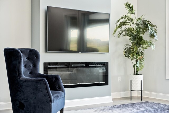 living area featuring wood-type flooring