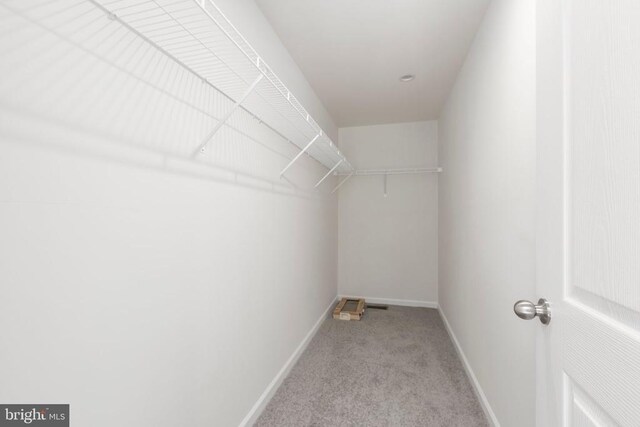 spacious closet featuring light carpet