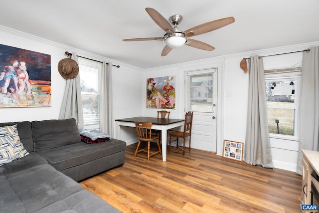 living area with light wood-style flooring, baseboards, ceiling fan, and crown molding