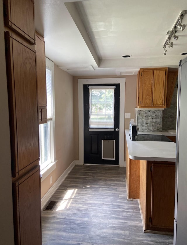 kitchen featuring tasteful backsplash, dark hardwood / wood-style flooring, and rail lighting