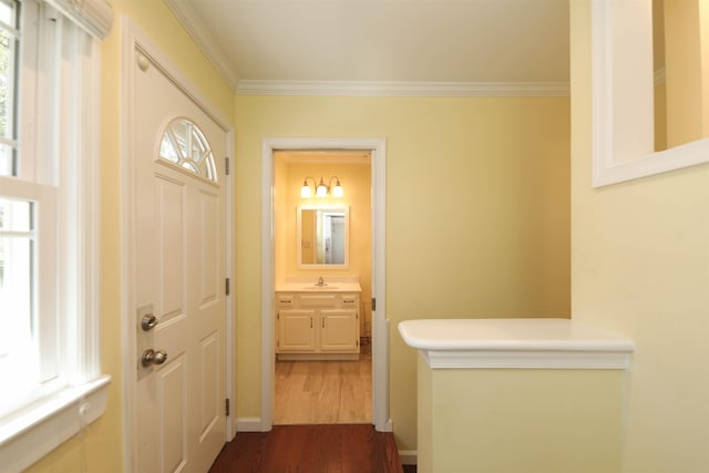 hall with baseboards, a sink, dark wood finished floors, and crown molding