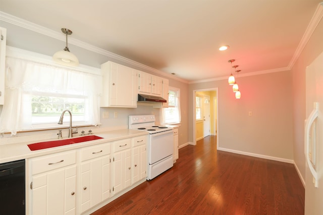 kitchen with dark wood-style floors, white electric stove, ornamental molding, a sink, and under cabinet range hood