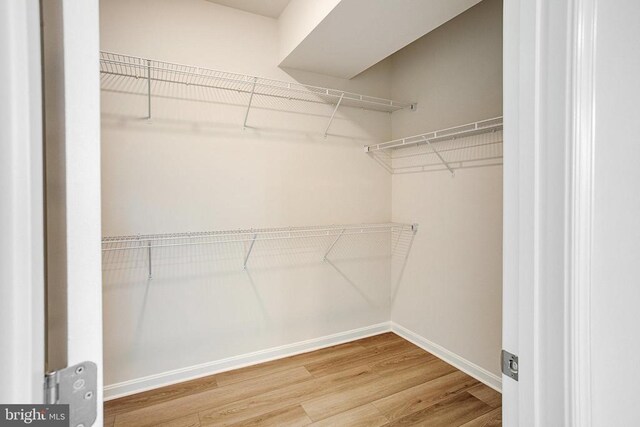 walk in closet with hardwood / wood-style floors