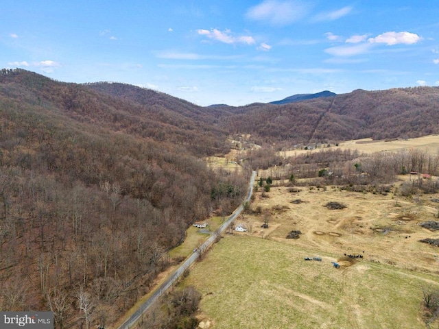 birds eye view of property featuring a mountain view