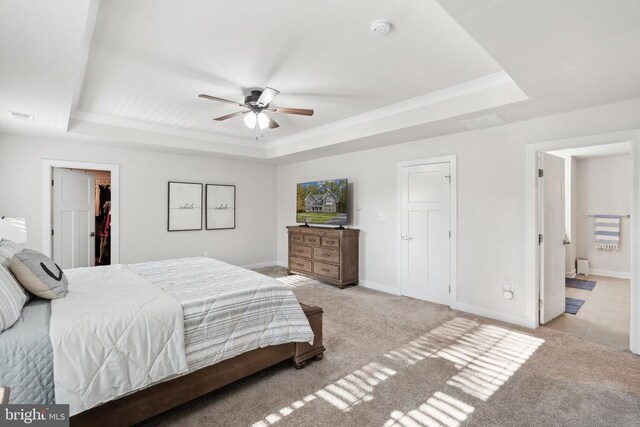 bedroom with a walk in closet, a tray ceiling, carpet flooring, and baseboards