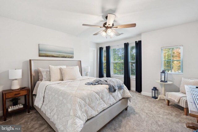 bedroom featuring a ceiling fan, carpet, and baseboards