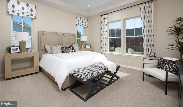 carpeted bedroom with a tray ceiling and multiple windows