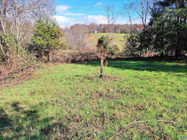 0 Horn Hollow Ln, Madison VA, 22727 land for sale