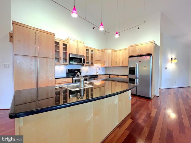 kitchen with appliances with stainless steel finishes, dark wood-type flooring, a towering ceiling, and a sink