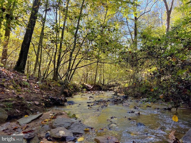 view of local wilderness with a wooded view