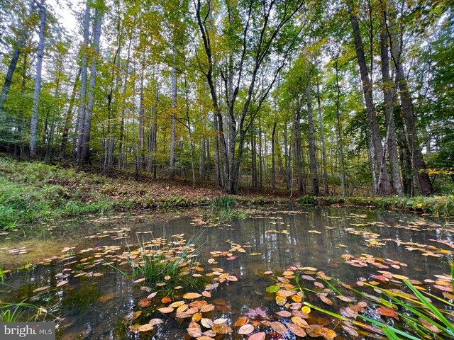 view of nature