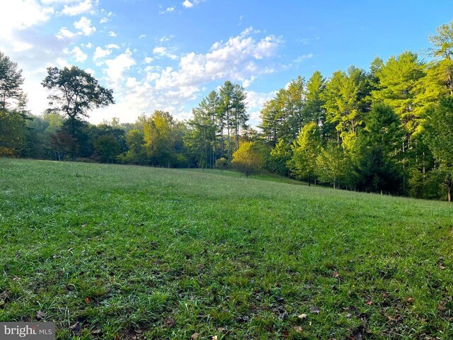 view of yard featuring a view of trees